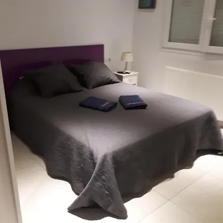 Magnifique Ρόζες
